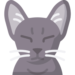 猫 icon