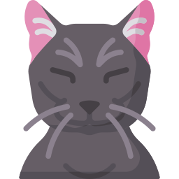 猫 icon