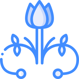 blume icon