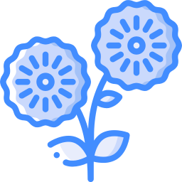 blume icon