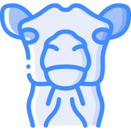 Camello icono