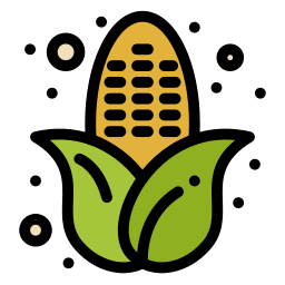 Corn icon