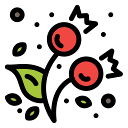 Berries icon