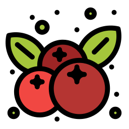 Cherry icon