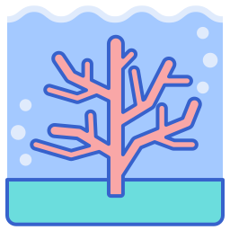 산호초 icon