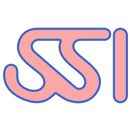 Ssi icon