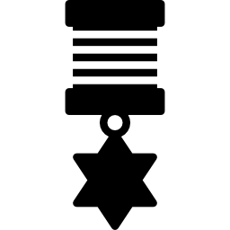 médaille Icône