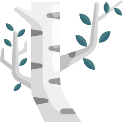 arbre de bouleau Icône