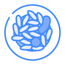 파 바다 icon