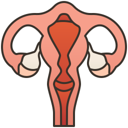 uterus icon