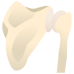 Bone icon