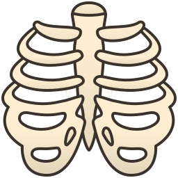 Ribs icon