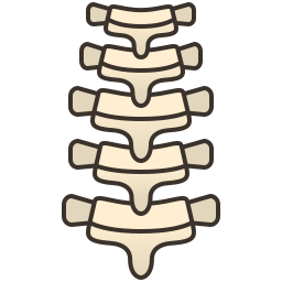 espinha dorsal Ícone