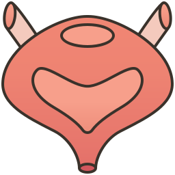 Urinary icon