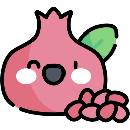 Pomegranate icon