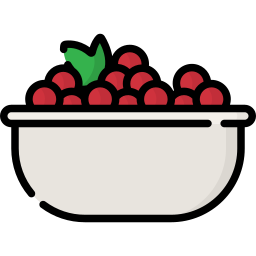cranberry icoon