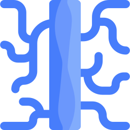 Veins icon