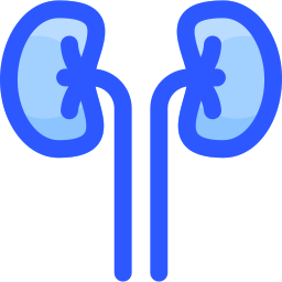 Kidneys icon