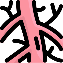 arterie icona