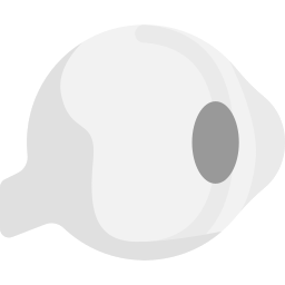 Eye icon