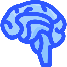 Brain icon