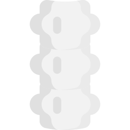 espina dorsal icono