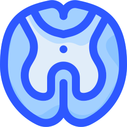 Spinal cord icon