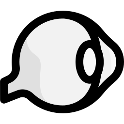 Eye icon