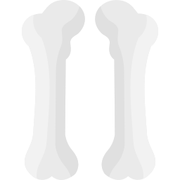 大腿骨 icon