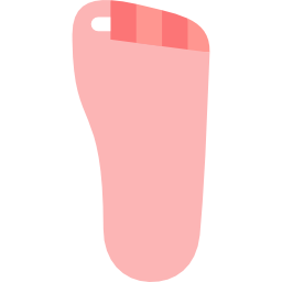 Foot icon