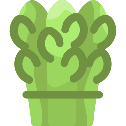 spargel icon