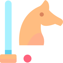 Polo icon