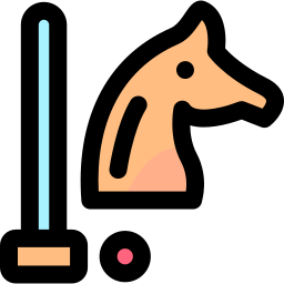 polo icon