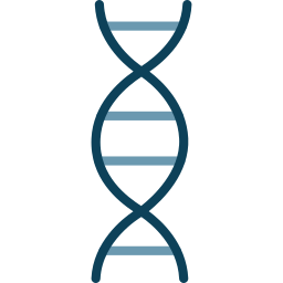 Dna structure icon