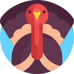 Turkey icon