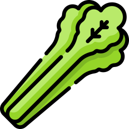 Celery icon