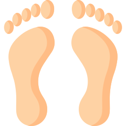 Footprint icon