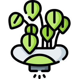 Plants icon