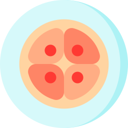 embryogenèse Icône