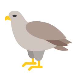 aigle Icône