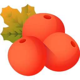 Berries icon