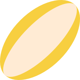 le rugby Icône