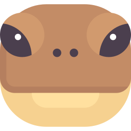 tortuga icono