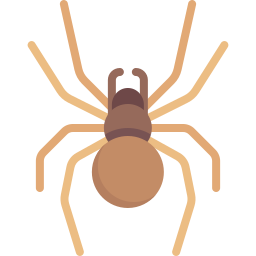 aranha Ícone