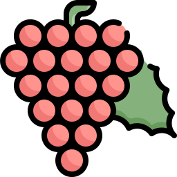 Grape icon