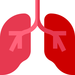 Lungs icon