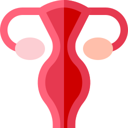 Uterus icon