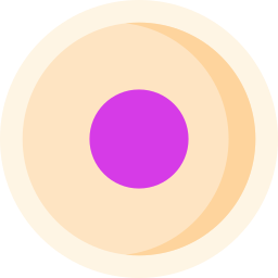 Rec button icon