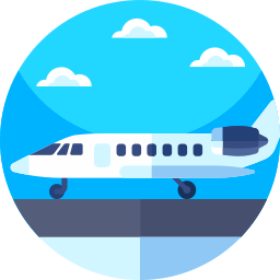 Private jet icon