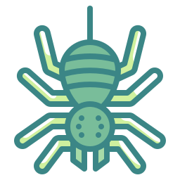 Spider icon